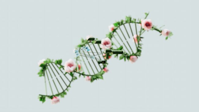 Bio-industries et biotechnologies EBI (c) unsplash