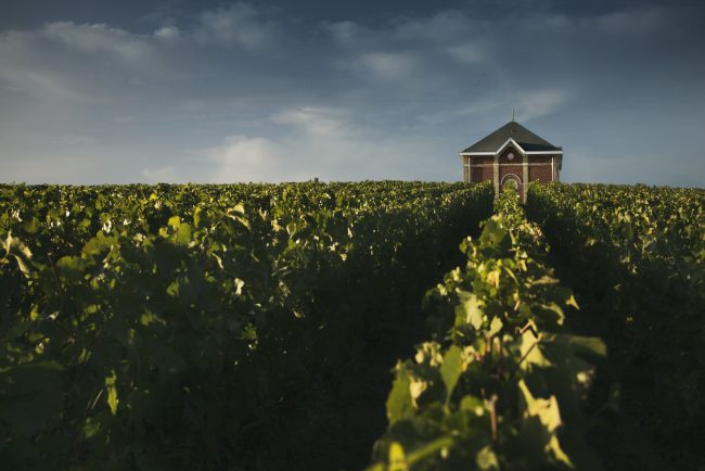 Interview Jonas Tahlin Moët Hennessy